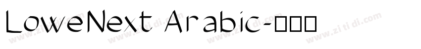 LoweNext Arabic字体转换